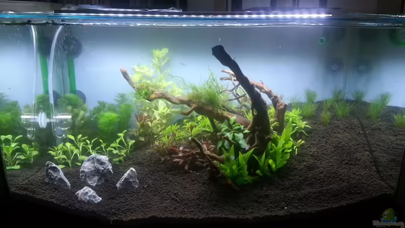 Aquarium Red/Blue/Green von Markus93 (5)