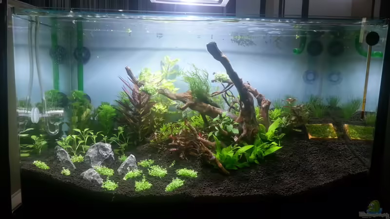 Aquarium Red/Blue/Green von Markus93 (6)