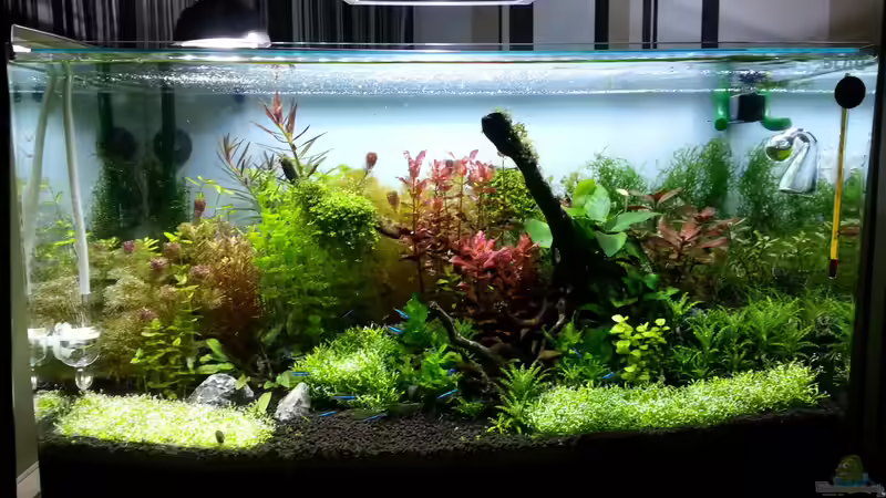 Aquarium Red/Blue/Green von Markus93 (9)