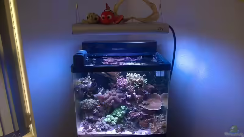 Aquarium Red Sea Max 130d von Christopher Schoener (3)