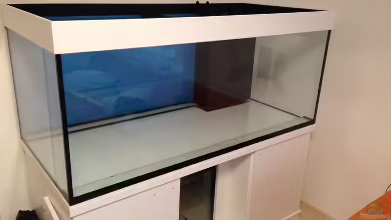 Aquarium Reef Dream von kutlesch (4)