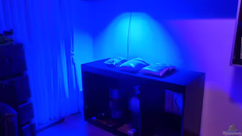 Aquarium Reef Dream von The_Lizardking (4)