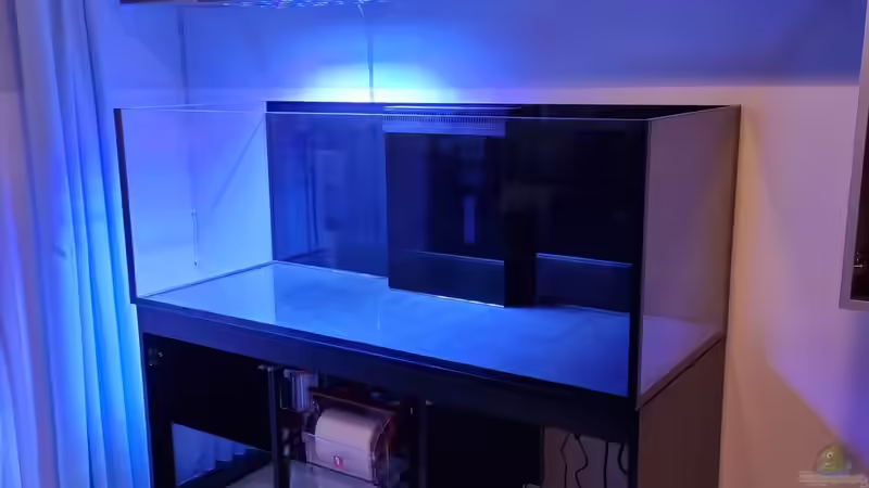 Aquarium Reef Dream von The_Lizardking (5)