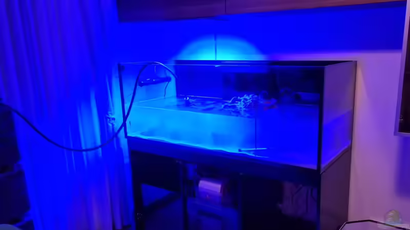 Aquarium Reef Dream von The_Lizardking (6)