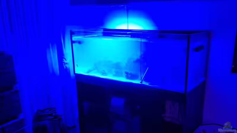 Aquarium Reef Dream von The_Lizardking (7)