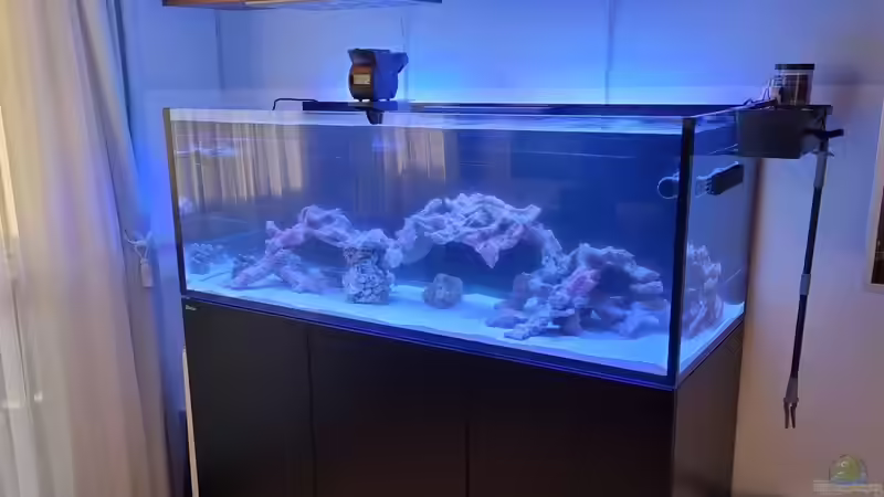 Aquarium Reef Dream von The_Lizardking (8)