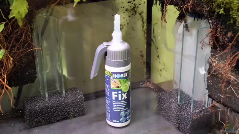 Aquarium-Reparatur: So beheben Sie ein geplatztes Aquarium in wenigen Schritten