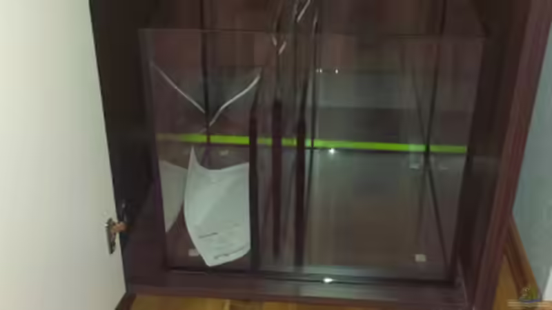 Aquarium Riffkanten cube von Alex Knorr (5)