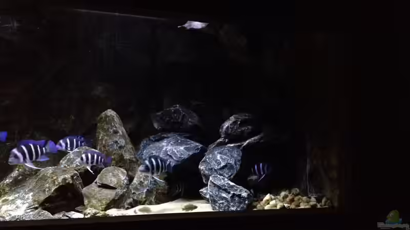 Aquarium right side von Björn (Slavi) (5)
