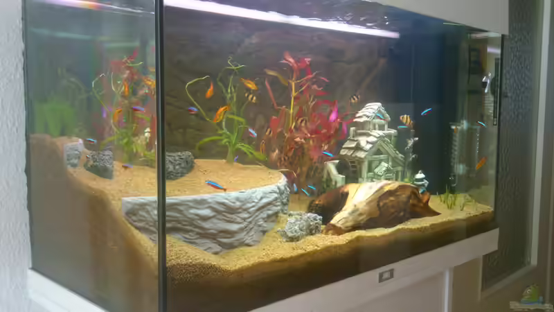 Aquarium Rio 125 von Nero (2)