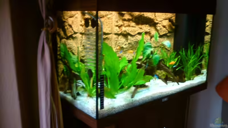 Aquarium rio 125 von Patrick Koch (4)