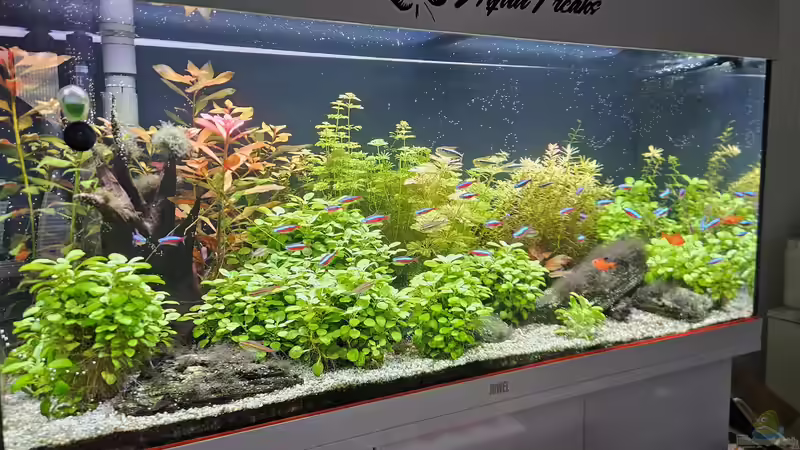 Aquarium RIO 180 am 17.11.2022 von Peter Peter (47)