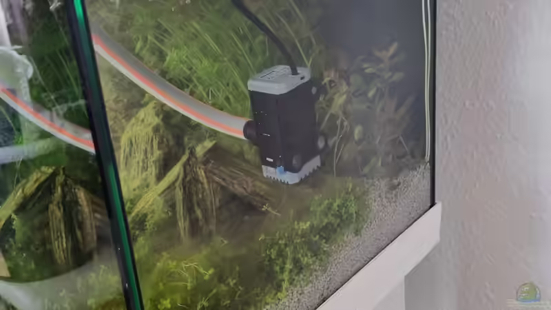 Aquarium RIO 180 am 21.05.2022  von Peter Peter (16)