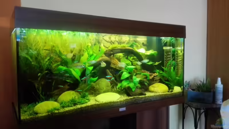 Aquarium Rio 180 von Phil_91 (3)