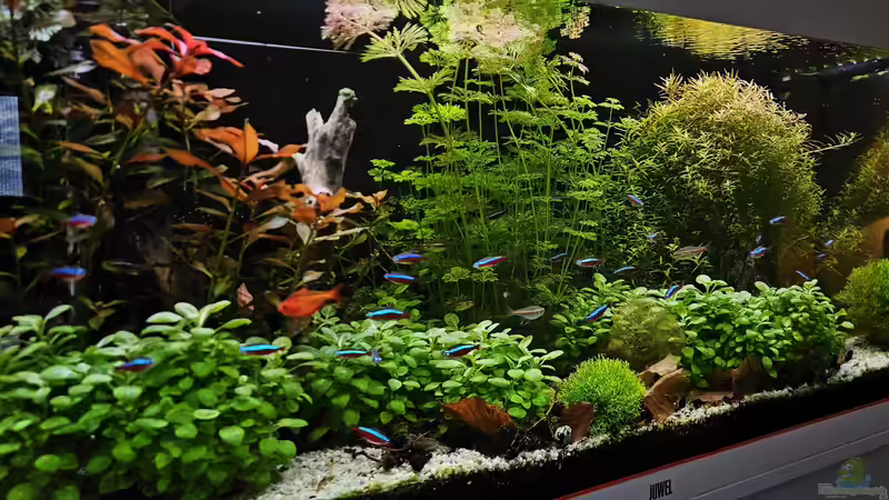 Aquarium RIO 180