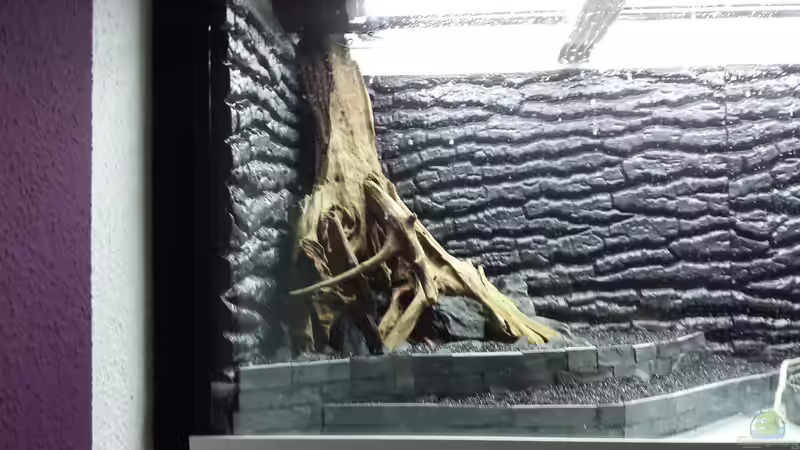 Aquarium Rio 400 Black &amp; White von sonic85 (6)