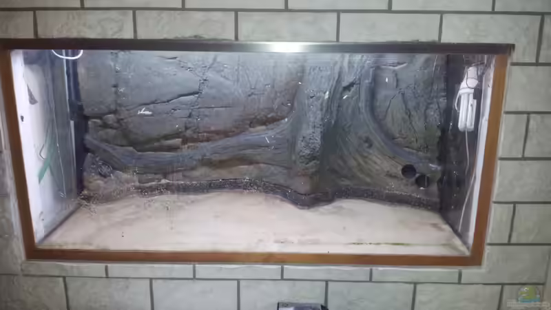 Aquarium Río Marañón von Steven Schneider (2)