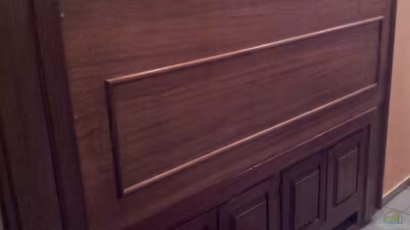 Aquarium Río Marañón von Steven Schneider (5)