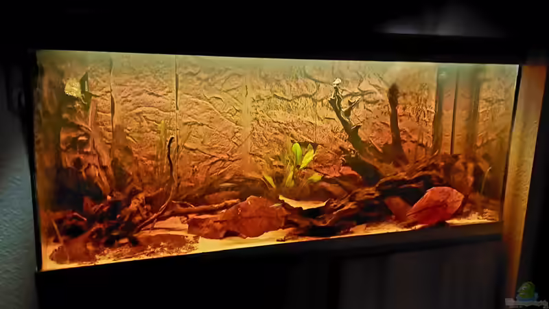 Aquarium Río Napo Flussufer von NiRo (2)