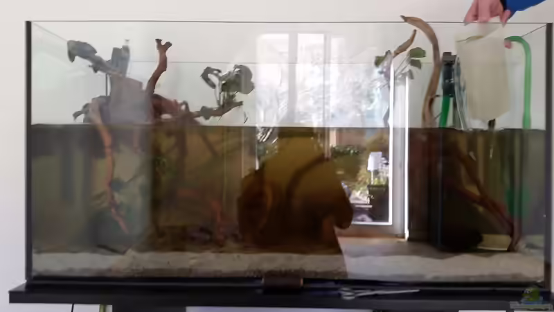 Aquarium Rio Negro em Suíça von southheart (16)