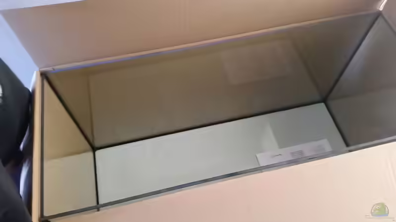 Aquarium Rio Negro em Suíça von southheart (4)