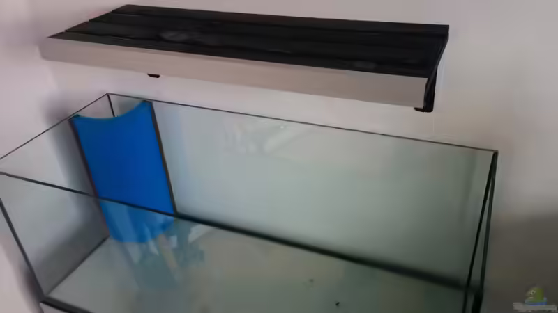 Aquarium Rio Negro Totarm von xpate (2)