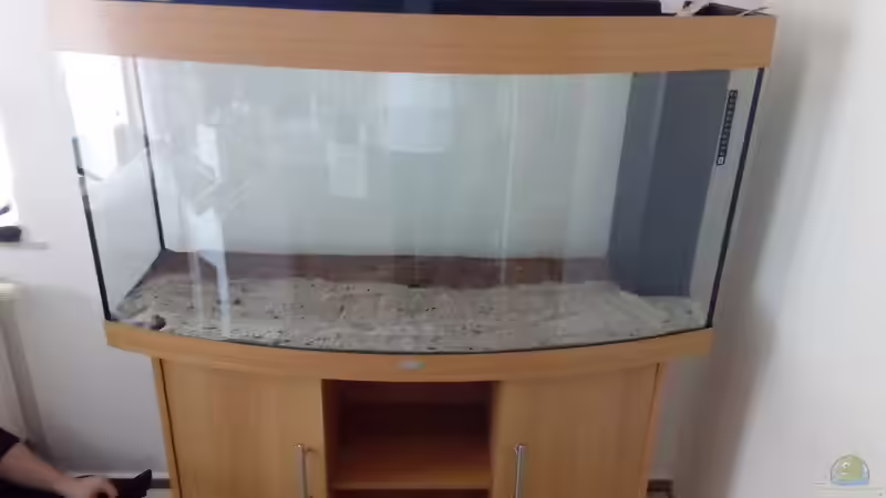 Aquarium Rio Novo von Oliver Wolf (3)