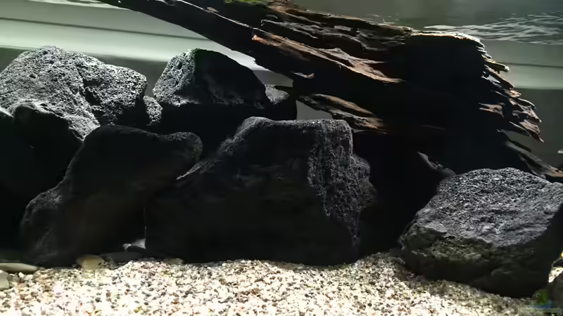 Aquarium Rio Xingu Biotop von Macbjoern (3)