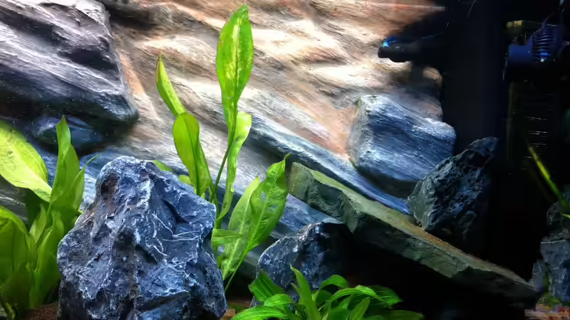 Aquarium Rio180 von bbussmann (11)