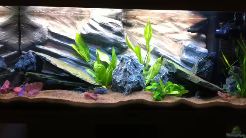 Aquarium Rio180 von bbussmann (2)