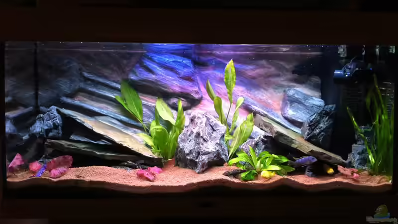 Aquarium Rio180 von bbussmann (3)