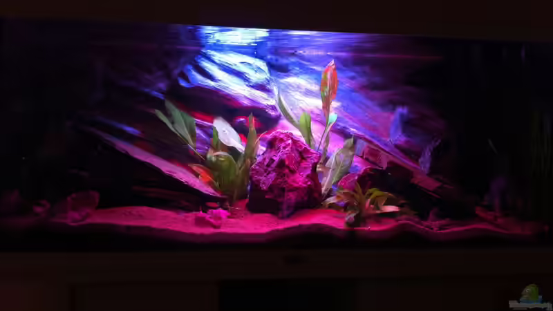 Aquarium Rio180 von bbussmann (4)