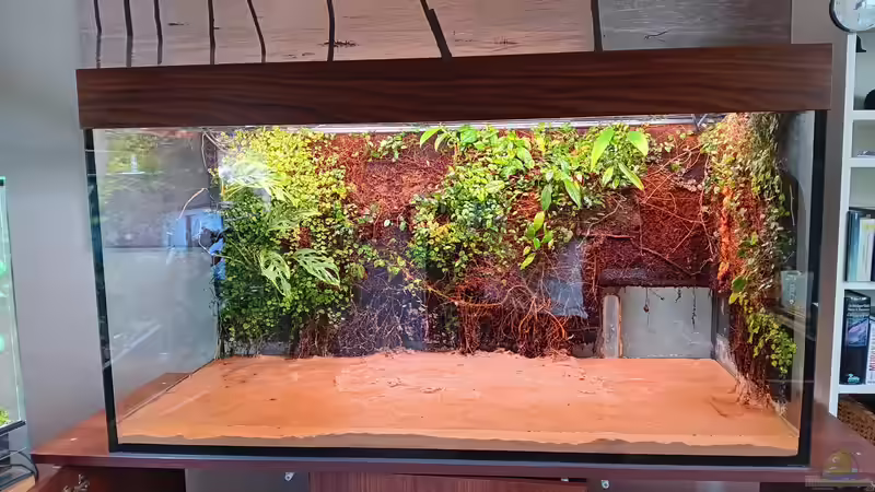 Aquarium Rivarium von Junglist (2)