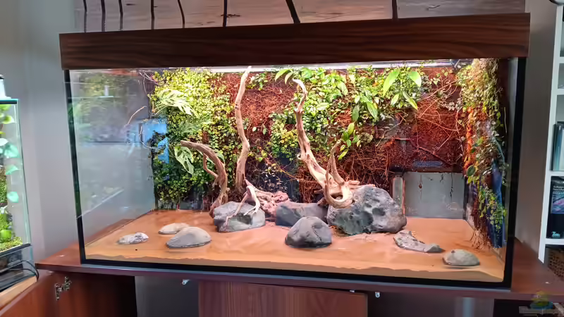 Aquarium Rivarium von Junglist (3)