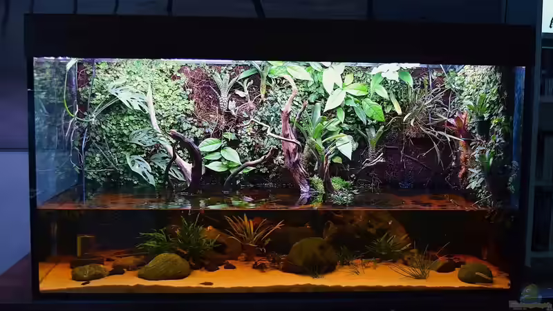Aquarium Rivarium von Junglist (4)