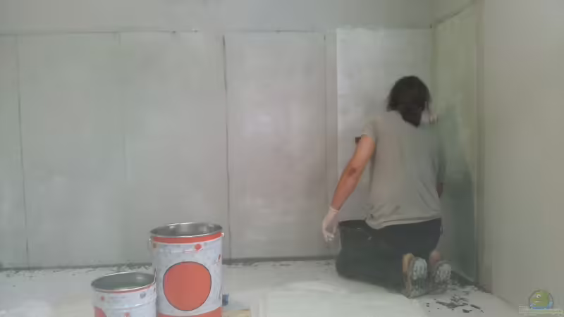 Aquarium Rochen Becken,Potamotrygon von Hayabusa (19)