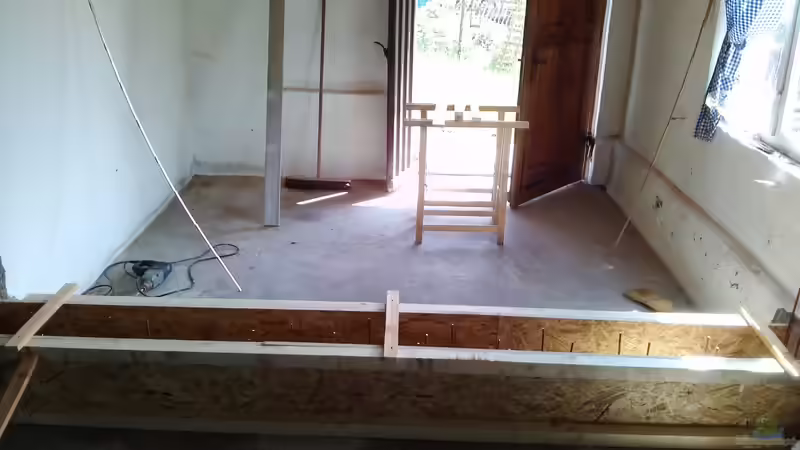 Aquarium Rochen Becken,Potamotrygon von Hayabusa (4)