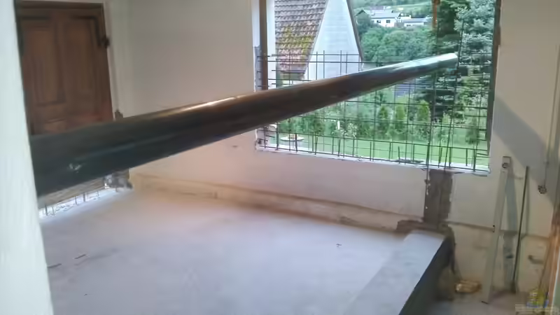 Aquarium Rochen Becken,Potamotrygon von Hayabusa (8)