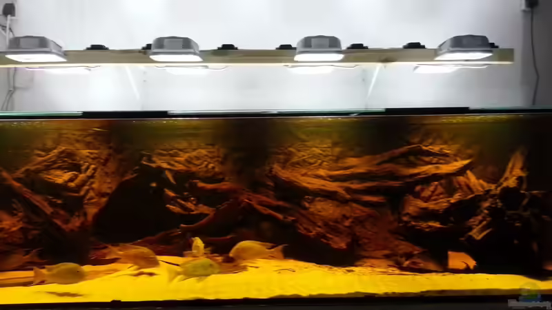 Aquarium Rochenbecken von Juergen8 (2)