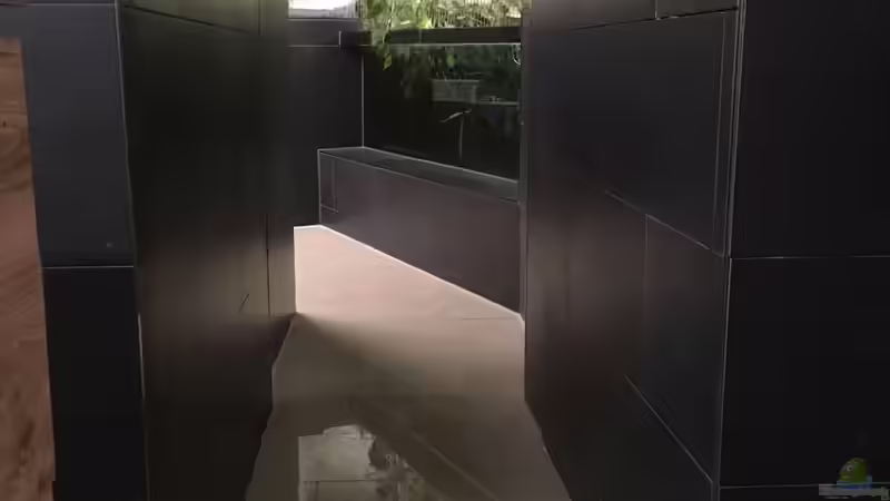 Aquarium Rochenbecken von Leopold68 (2)