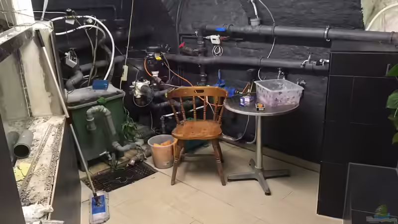 Aquarium Rochenbecken von Leopold68 (3)