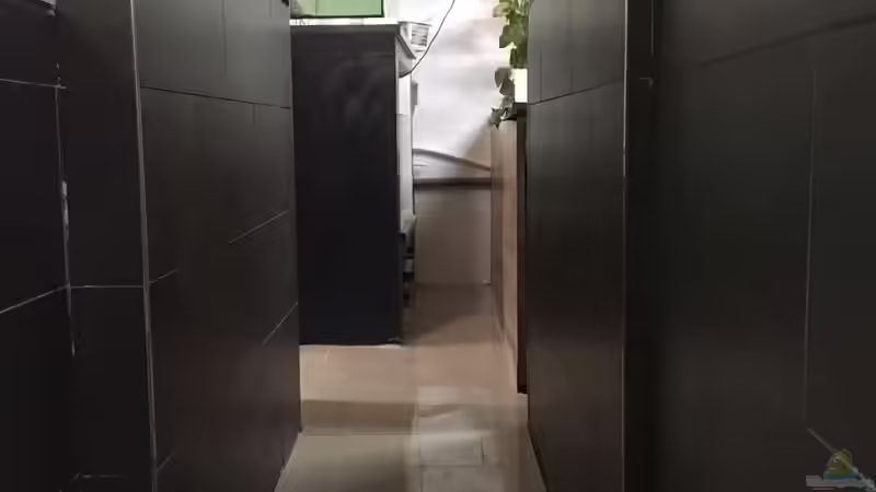 Aquarium Rochenbecken von Leopold68 (4)