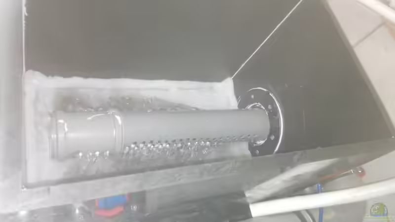 Aquarium Rochenbecken von Leopold68 (8)