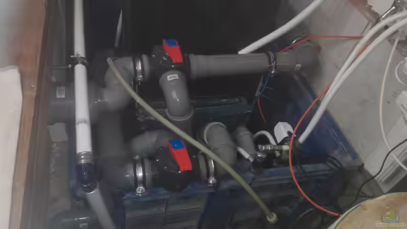 Aquarium Rochenbecken von Leopold68 (9)