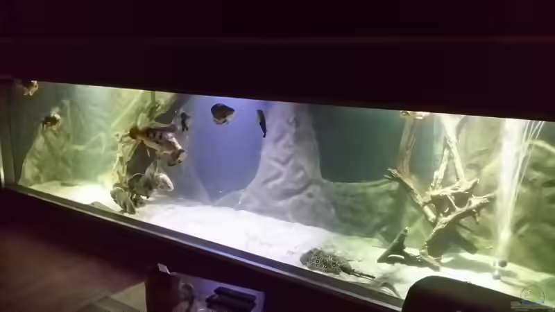 Aquarium Rochenbecken von Pearlray (3)