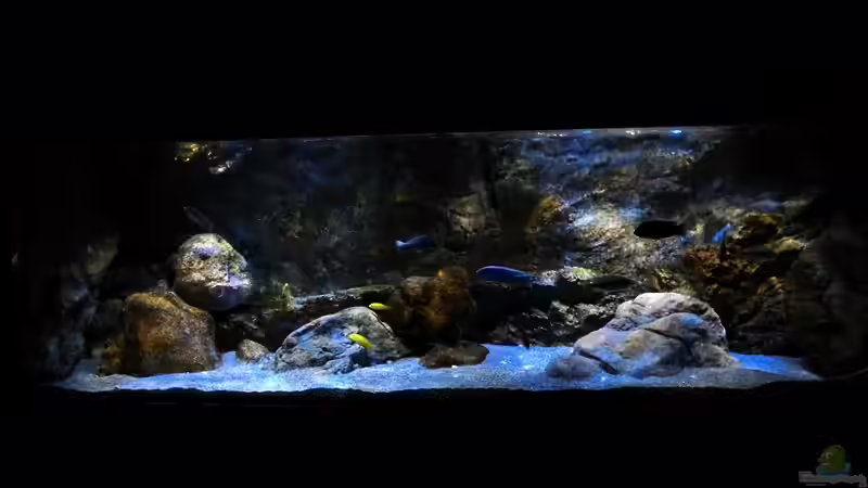 Aquarium Rockzolid Cave (Aufgelöst) von marxbre (11)