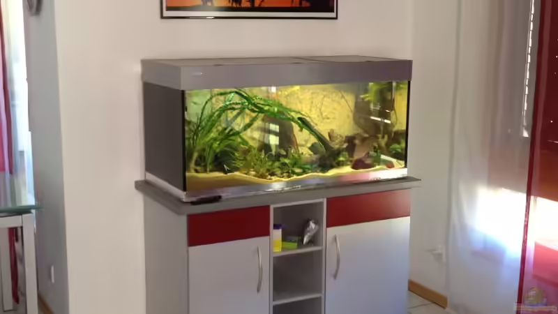 Aquarium Rubens' Westafrika von Rubens (11)