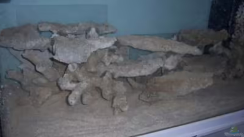 Aquarium Rundbogenglasaquarium von Jürgen Stapf (2)