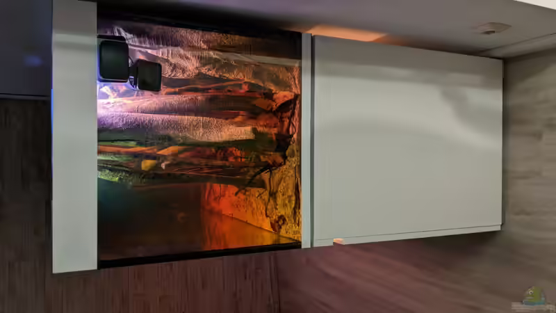 Aquarium Salmerbecken von Hedylein (5)