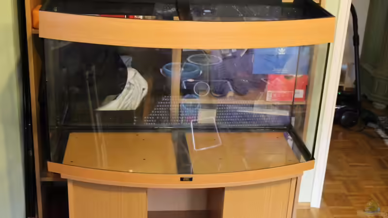 Aquarium Salmlerbecken von Carphunter (2)